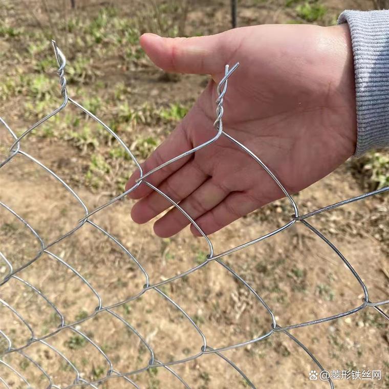 养殖牛羊网